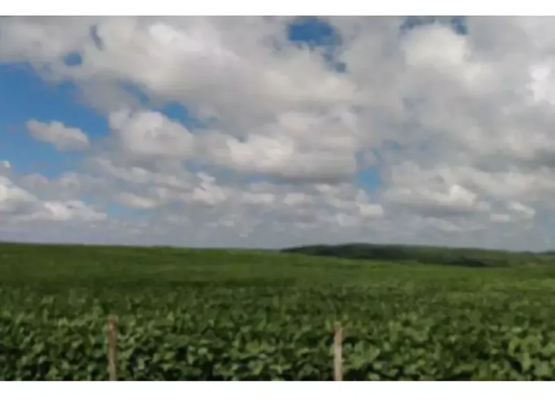 Imóvel rural em leilão