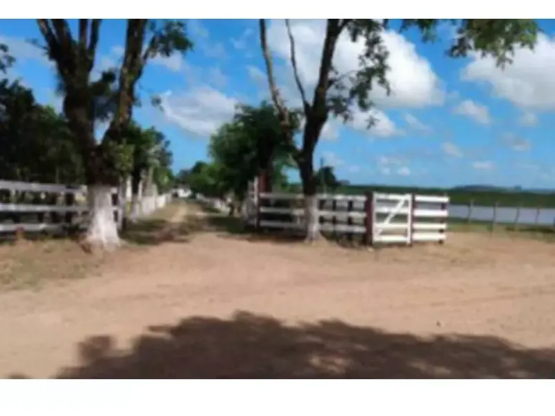 Imóvel rural em leilão