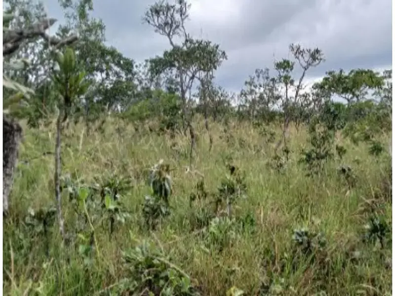Imóvel rural em Leilão Extrajudicial
