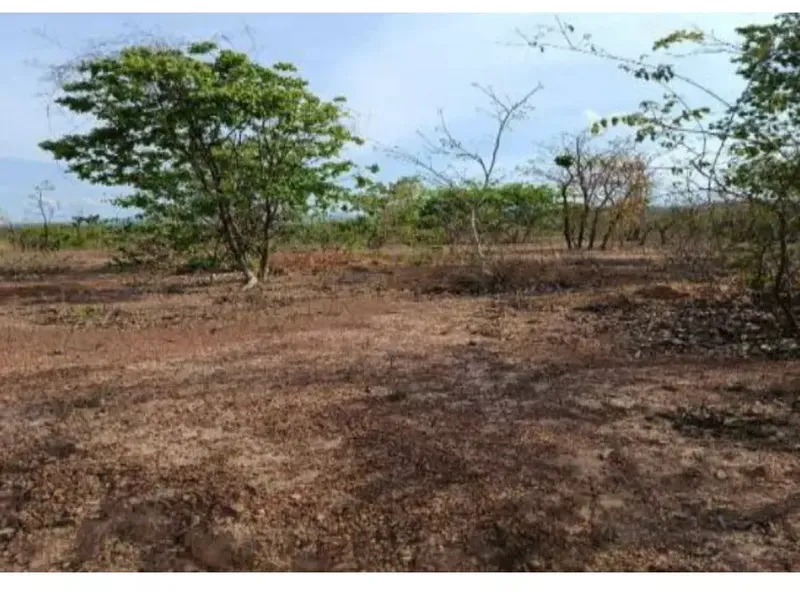 Imóvel rural em Leilão Extrajudicial