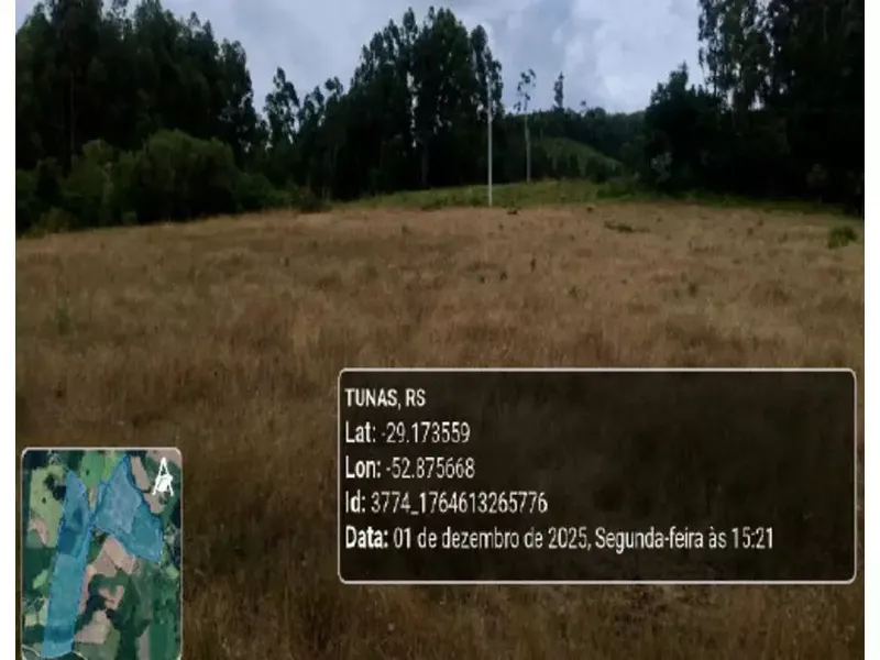 Imóvel rural em leilão