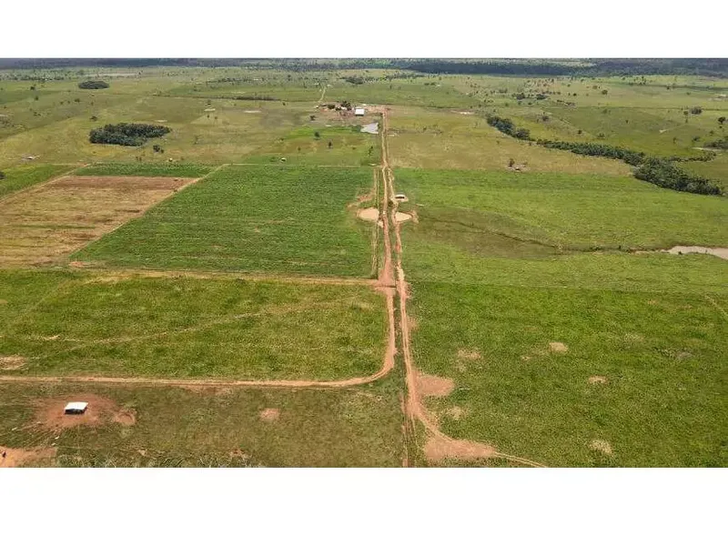 Imóvel rural em leilão