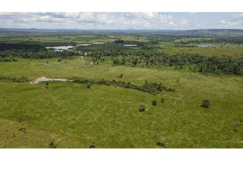 Imóvel rural em leilão