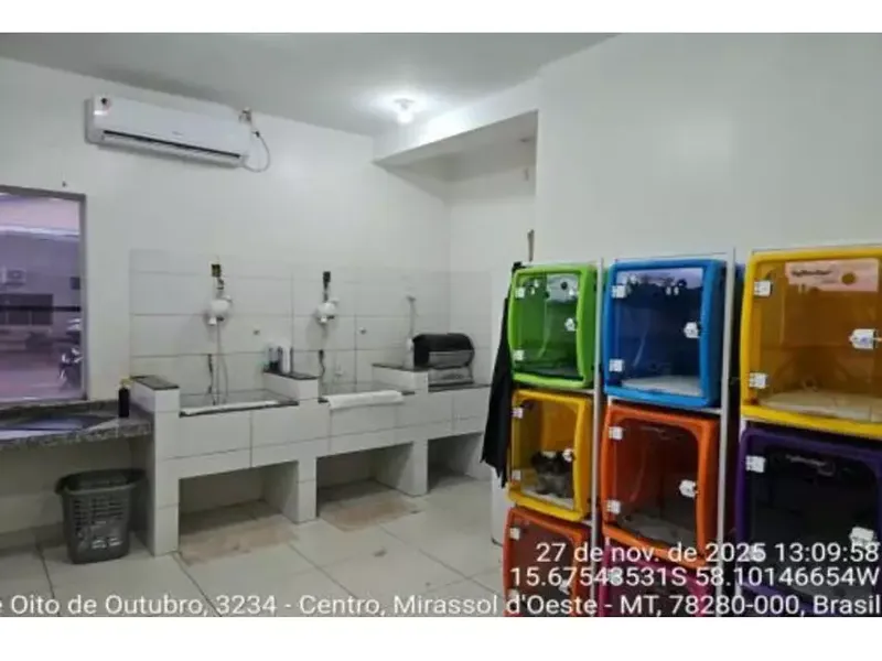 Comercial em leilão