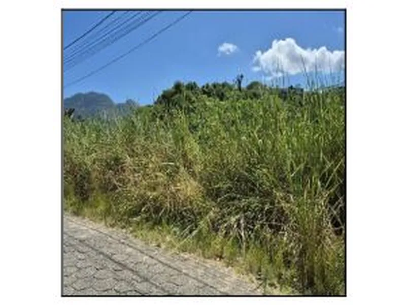 Terreno em Venda Direta