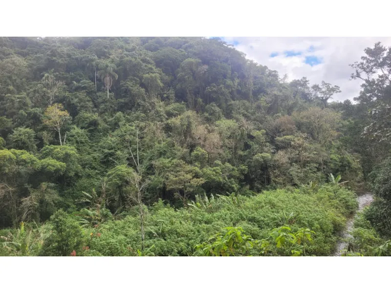 Imóvel rural em Leilão Judicial