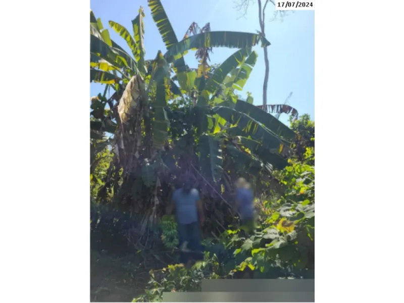 Imóvel rural em leilão