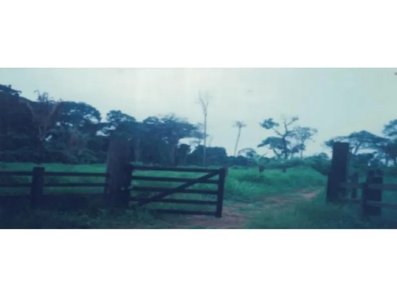 Imóvel rural em leilão