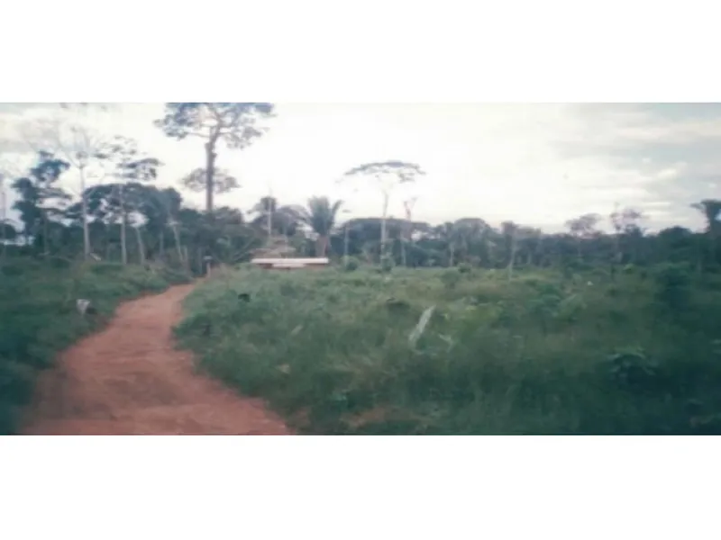 Imóvel rural em leilão