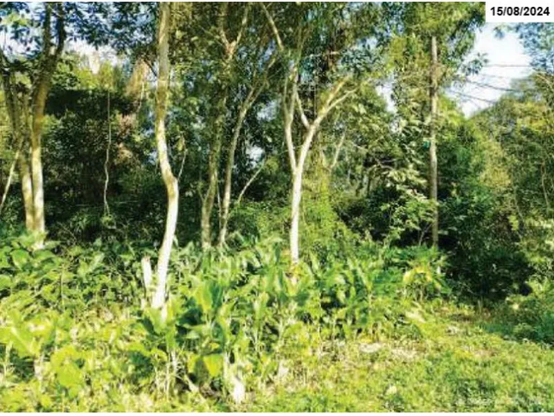 Terreno em Leilão Judicial