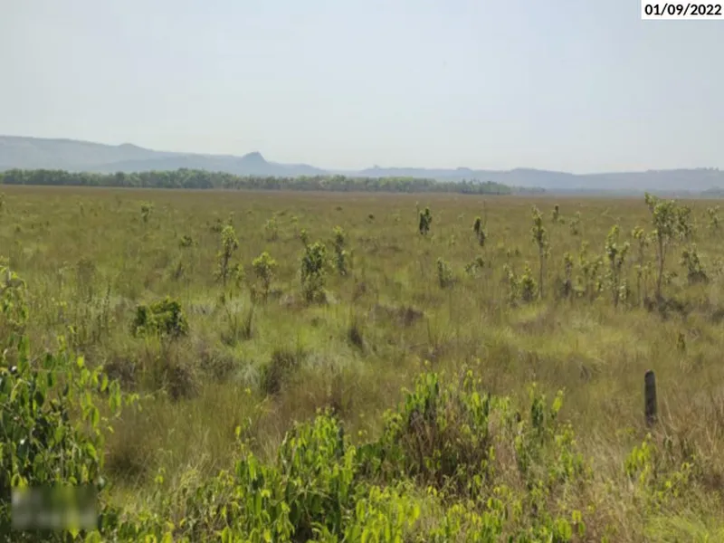 Imóvel rural em leilão