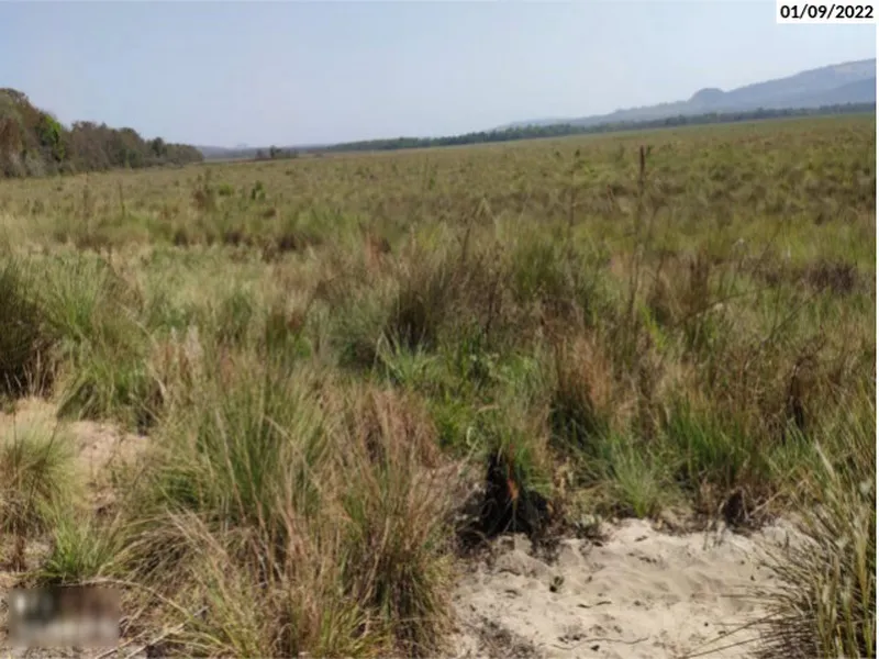 Imóvel rural em leilão