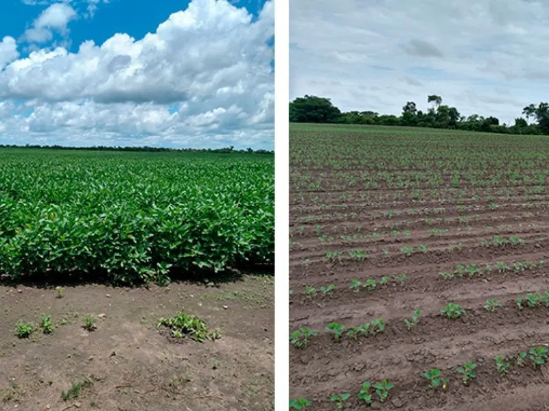Imóvel rural em leilão
