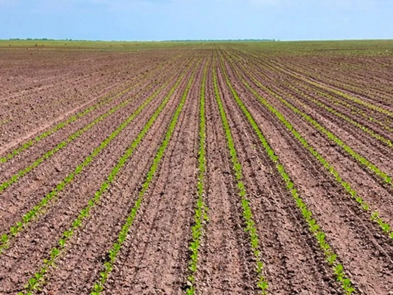 Imóvel rural em leilão