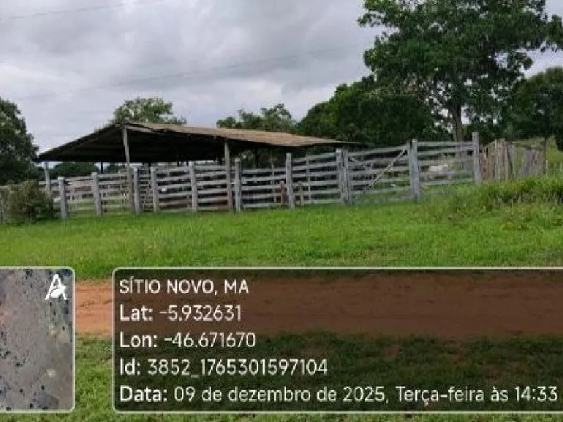 Imóvel rural em leilão