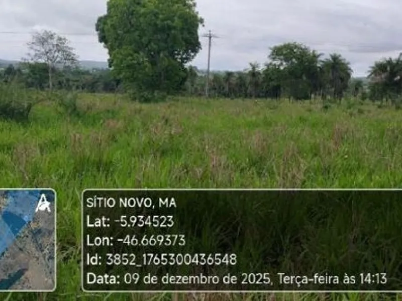 Imóvel rural em leilão