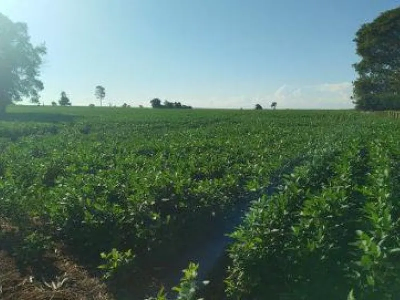 Imóvel rural em Leilão Extrajudicial