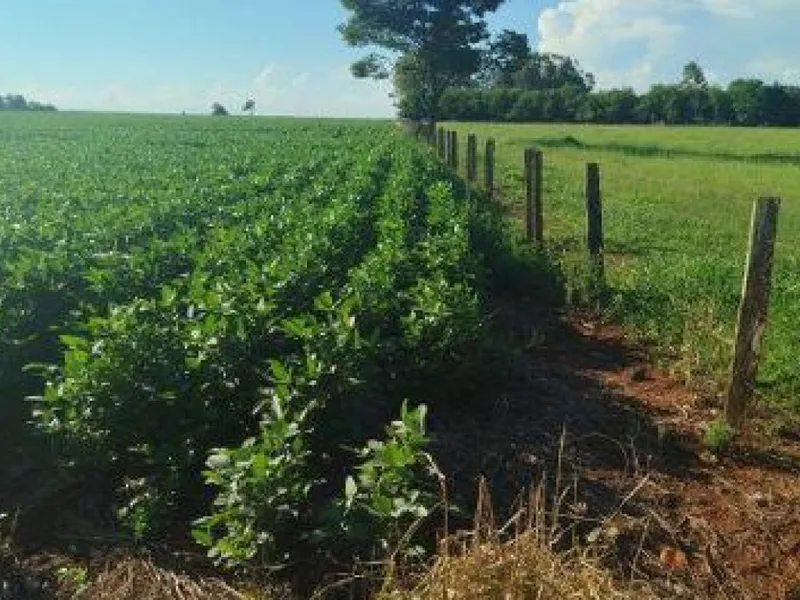 Imóvel rural em leilão