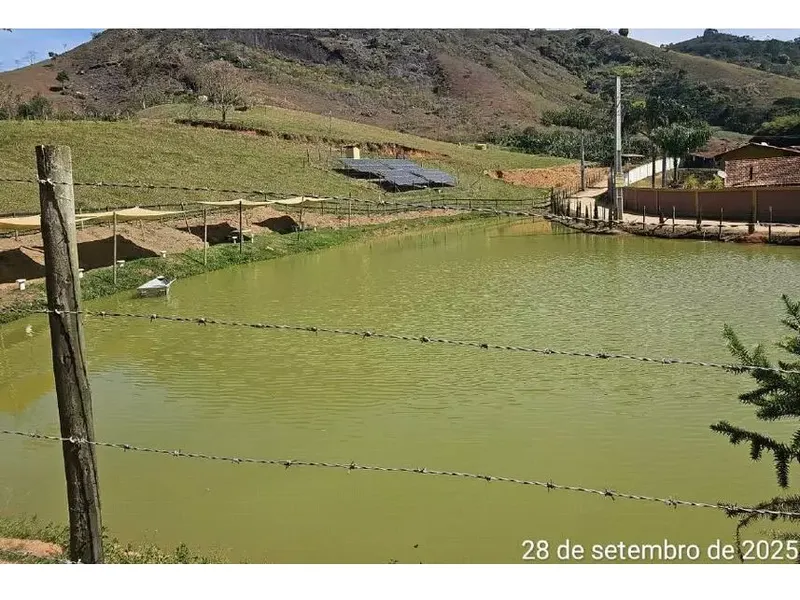 Imóvel rural em leilão