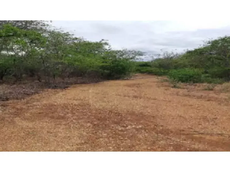 Imóvel rural em Leilão Extrajudicial