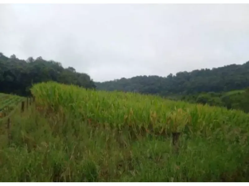 Imóvel rural em leilão