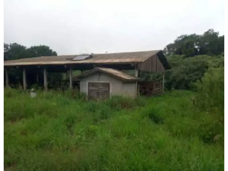 Imóvel rural em leilão
