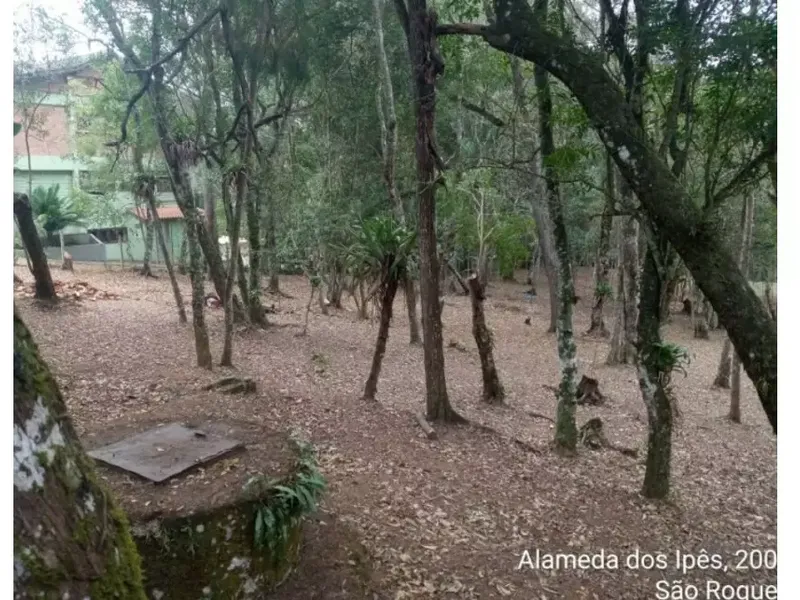 Terreno em leilão