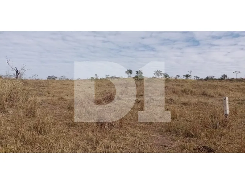 Imóvel rural em leilão