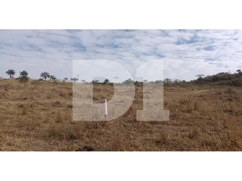 Imóvel rural em leilão