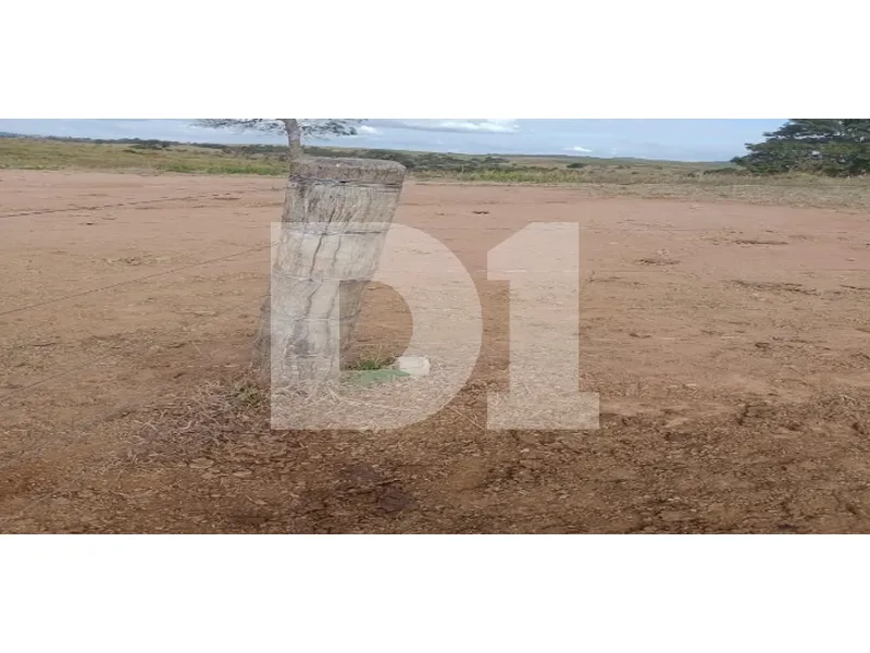 Imóvel rural em leilão