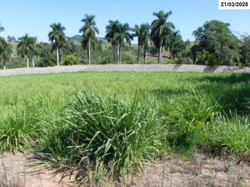 Imóvel rural em leilão
