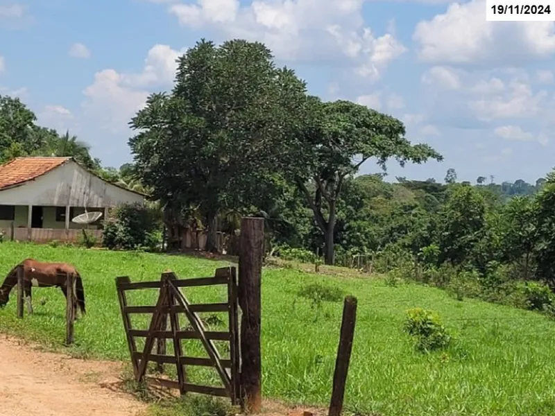 Imóvel rural em leilão