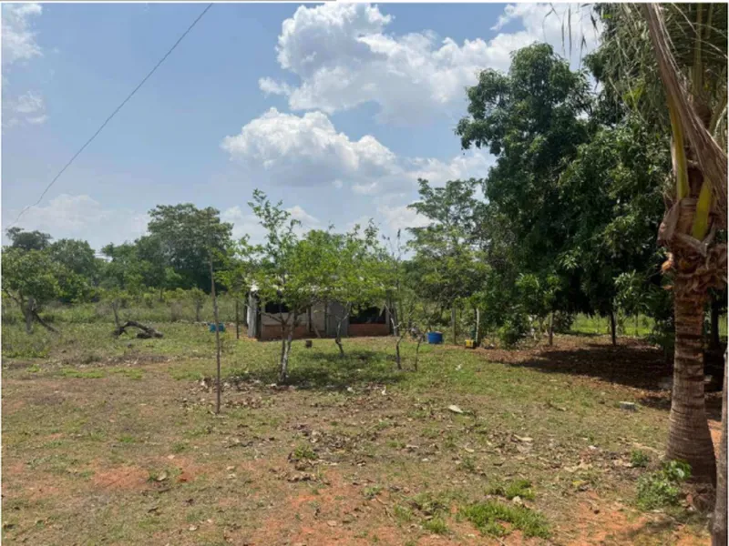 Imóvel rural em Leilão Judicial