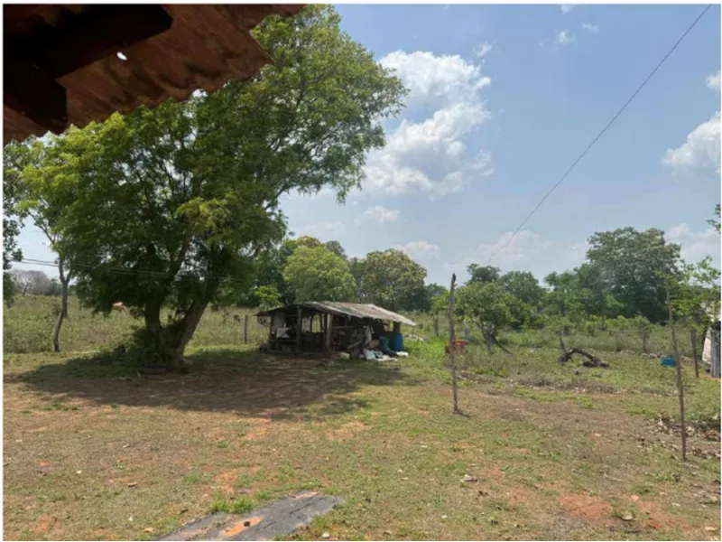 Imóvel rural em leilão