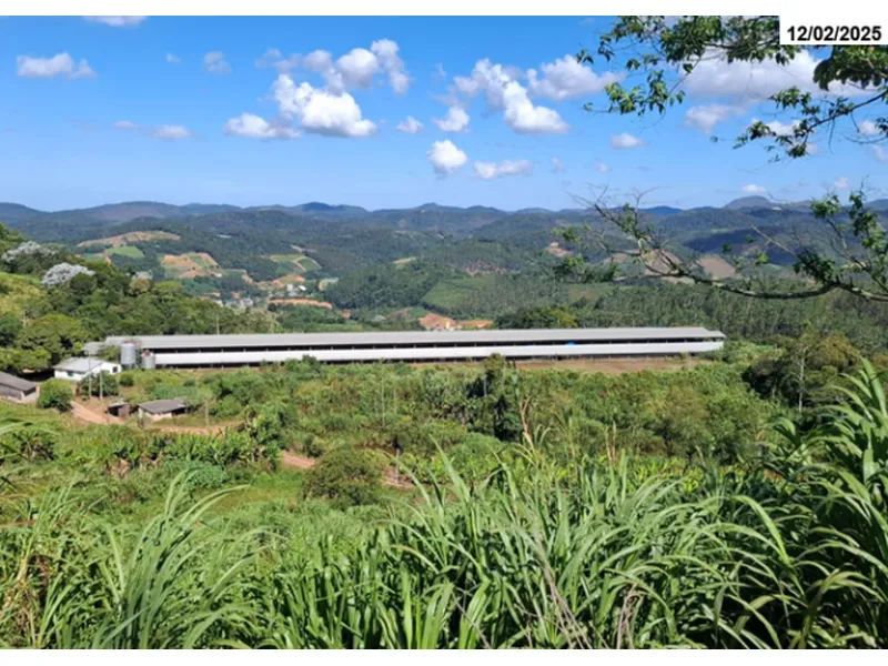 Imóvel rural em leilão