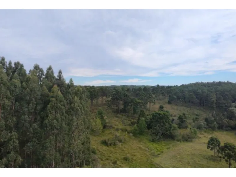 Imóvel rural em leilão