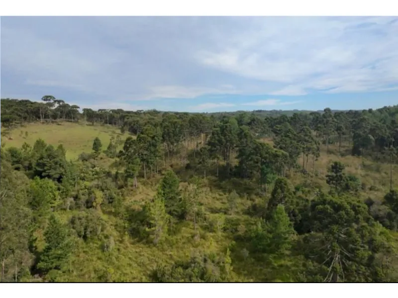 Imóvel rural em leilão