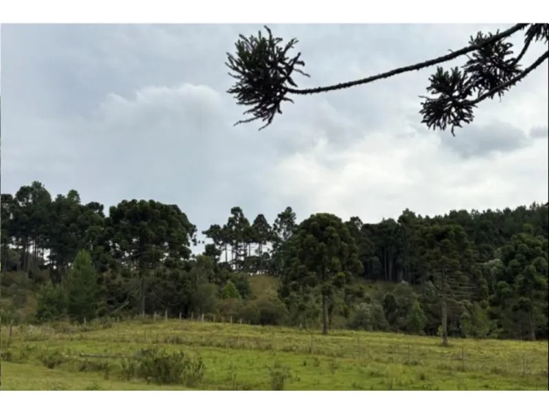 Imóvel rural em Leilão Judicial
