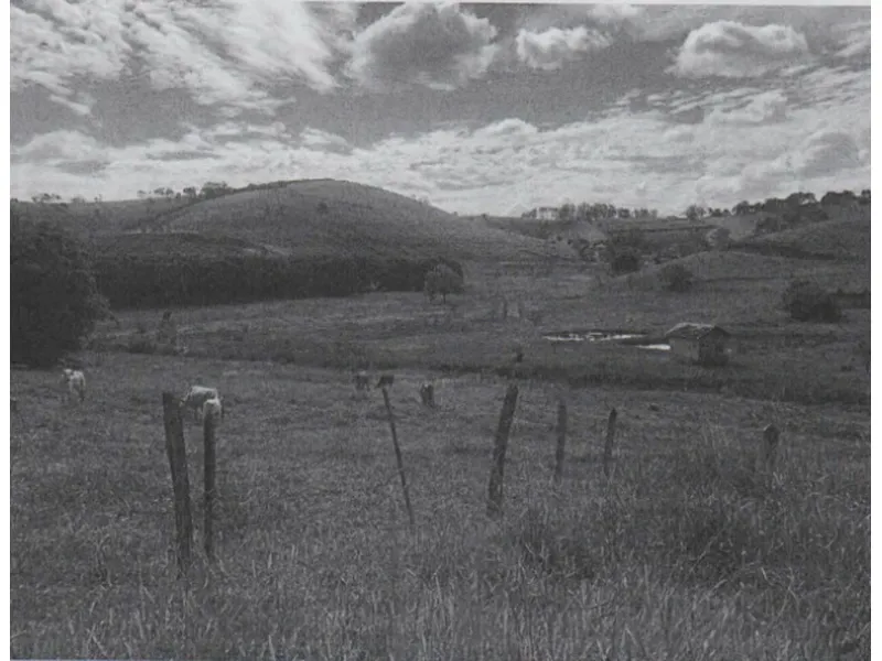 Imóvel rural em leilão