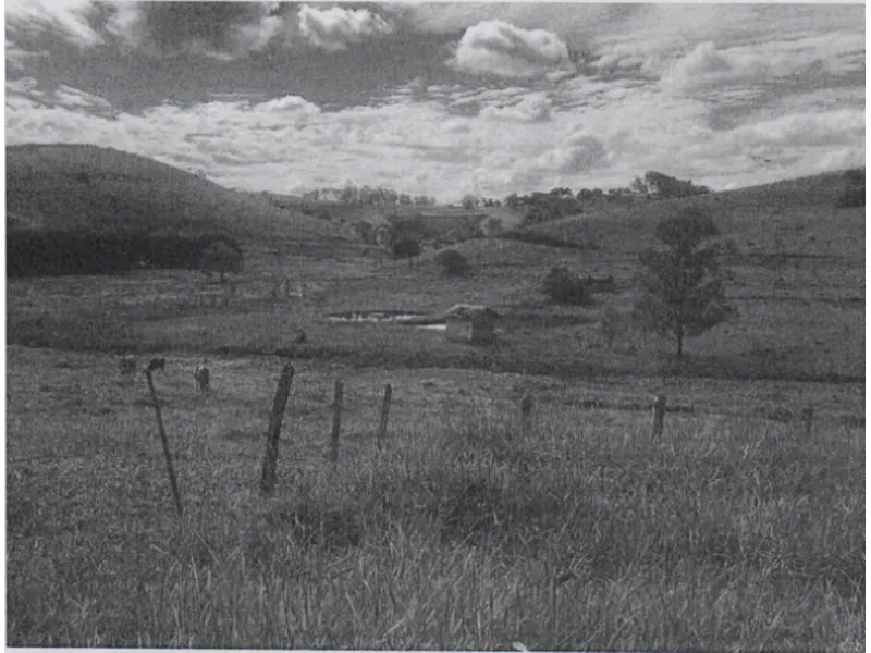 Imóvel rural em leilão