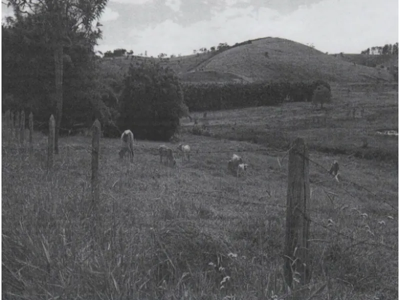 Imóvel rural em leilão
