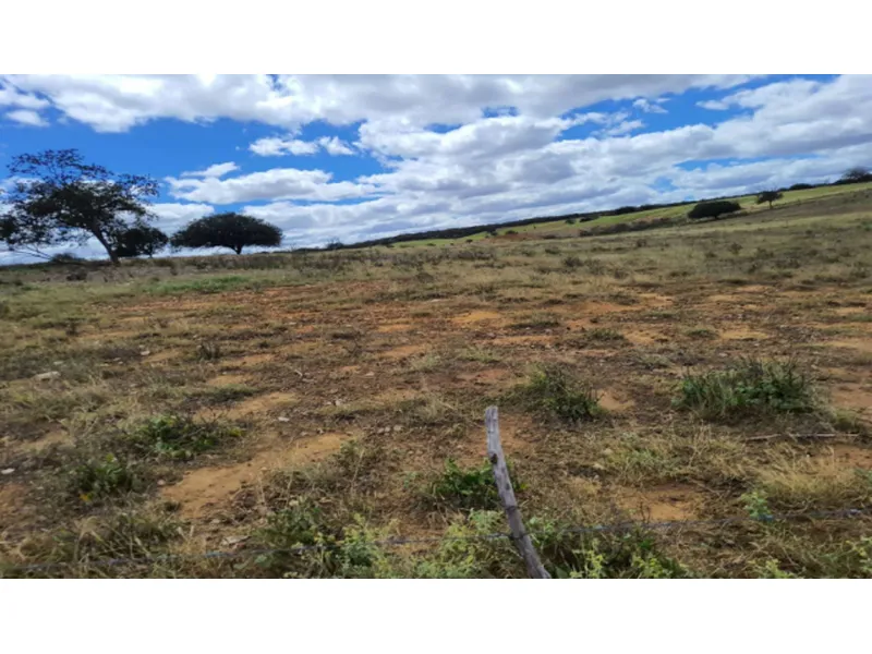 Imóvel rural em leilão