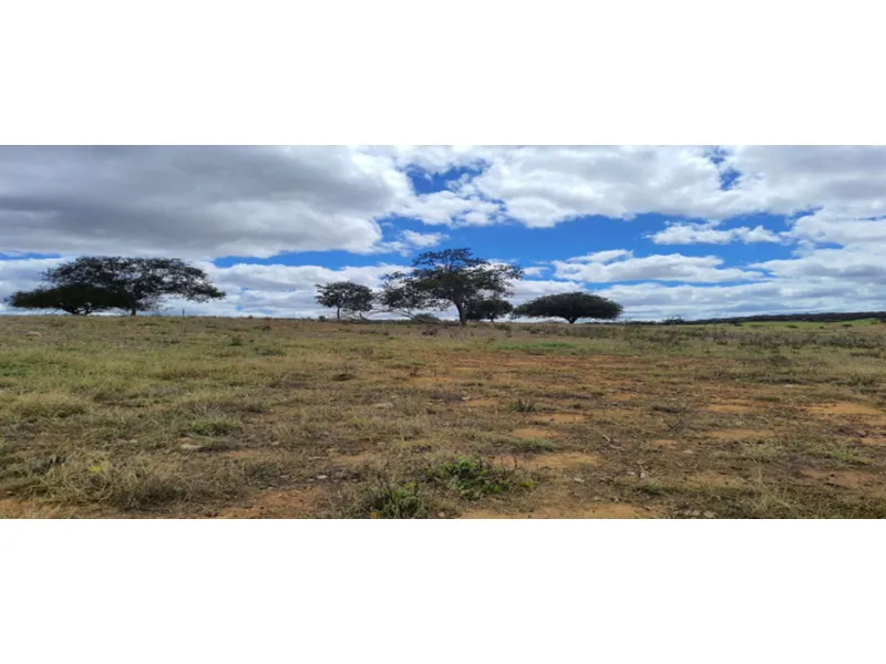 Imóvel rural em leilão