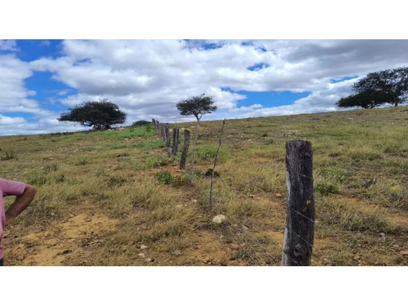 Imóvel rural em leilão