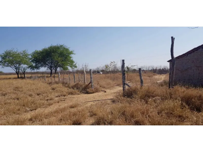 Imóvel rural em leilão