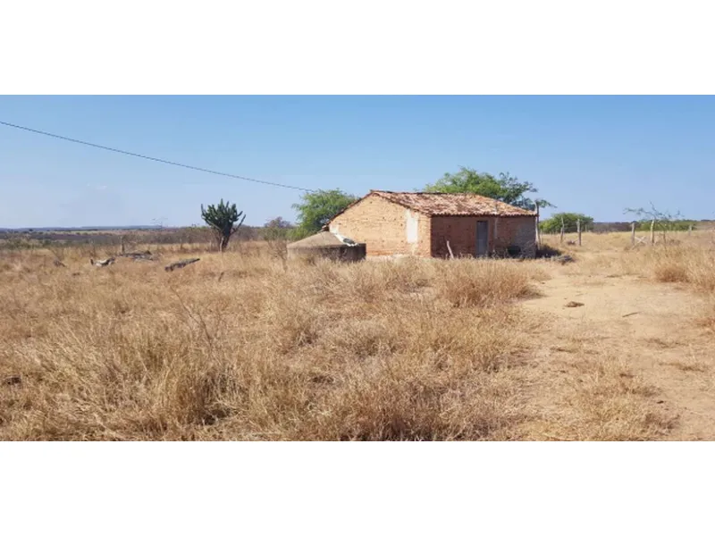 Imóvel rural em leilão