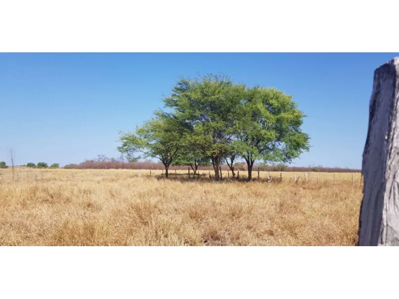 Imóvel rural em leilão