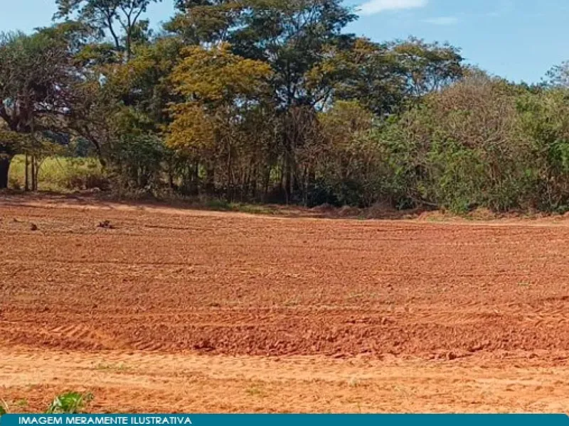 Imóvel rural em leilão