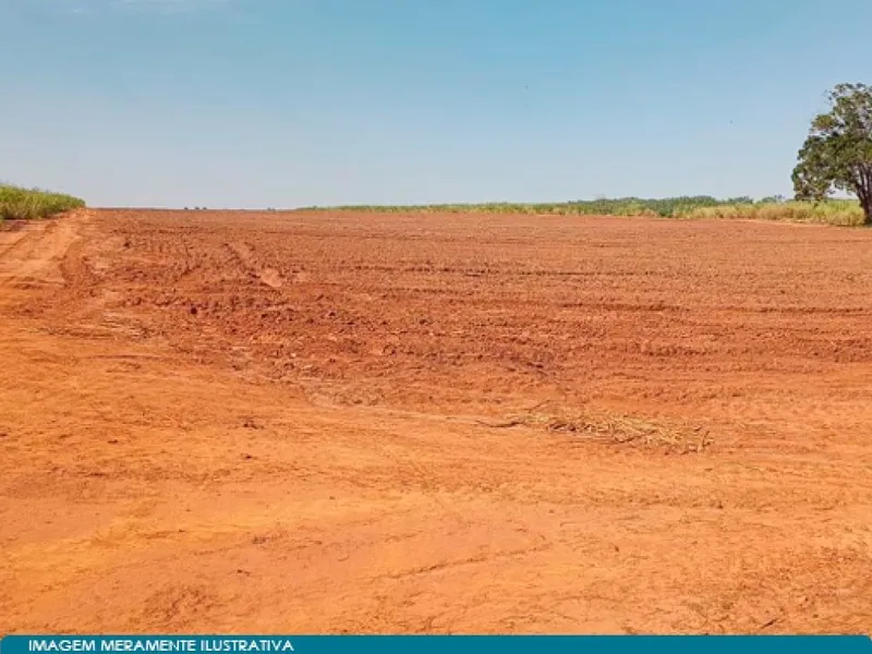 Imóvel rural em leilão