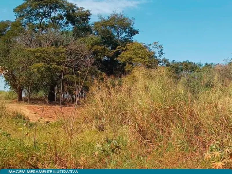Imóvel rural em leilão